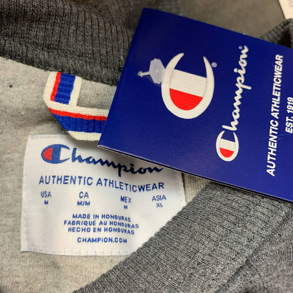 Champion Powerblend Logo Appliqu Fleece Sweatshirt in Gray - Picture 5 of 6